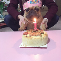 ���ӹ��Ĳ��繷����