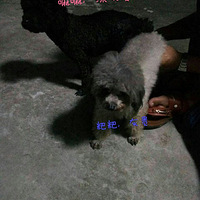 ����ѵĹ��̣�������