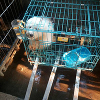 ë���������Ĺ����ܣ�������600��Ҫ������