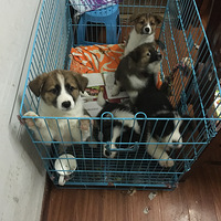 С������