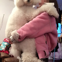 ��ɫ�޹���Ϯ