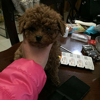 �����պ�����һ����1000��