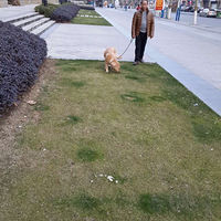 �����޹�����������