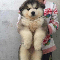 ���Ͱ���