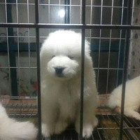 �͸磬��������Ħ��Ҫ���ٶ�