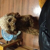 �ҵĹ��С��������2�������������ڴ���