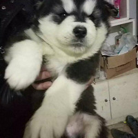 �Լ����İ���������~