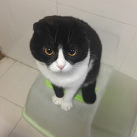 ����һƪ������