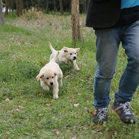 ������ôƯ�����������࣬��û���Ķ���