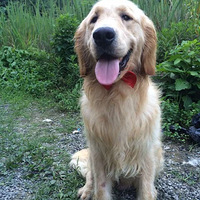 ԼȮ۽ë ˹  ĦҮ ̩ϵȮбϡ