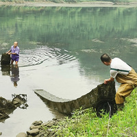 ȭǱչִж