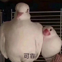 𱬿ٰվ¿Ʊ