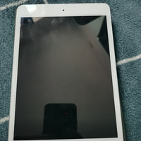 iPadmini5