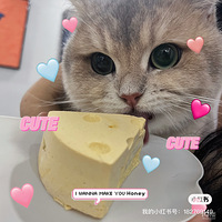 𽥲ŮƷ೬ã