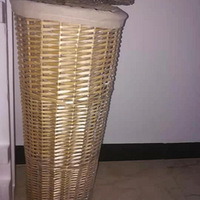 ʵľɳ輸