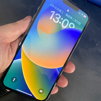 13pro/12896뷨˽