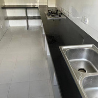 ������ֱ�⡿������Ԣ����-����������ѧУ��