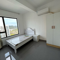 �ɶ��⣬�¸�������ֱ�⣬û���н��