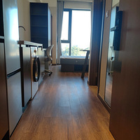 ���¼�800��Ѻһ��һ�����κ��н�ѵ����⹫Ԣ