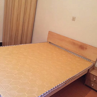 ����ֱ��