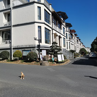 ����ֱ��