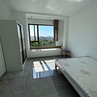 ����ũ�ִ�ѧ�����������ԡ����ֱ��