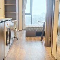 ��ɽ������߶˹�Ԣ���ض������������Ż�