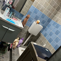 ����ת��