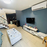 ��������loft��Ԣ����