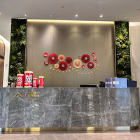 �ŵƽ�ʻ���ױ��2024�����