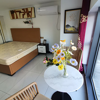 ��ɽ���Ƽ��ǣ������㳡��������������Ԣ���۸�ʵ�ݷ�������