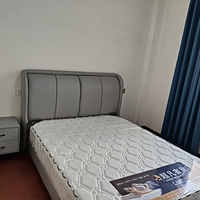 ������Ԣ����