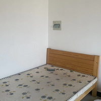 ��������������Ԣ����