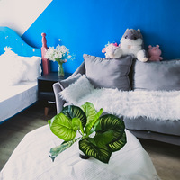 ��Խ���ϣ�ˮ������С���й�Ԣ�������������㣬�����ס