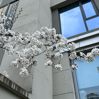 ���£���á���