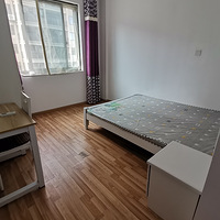 ��ɽ����С����һ��һ��һ��һ��̨�۸�ʵ�ݣ���������û���н��