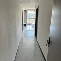 ����ֱ��