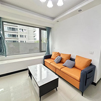 ����ֱ�⣬���ѧ�����ݳ���15835286033΢��ͬ��