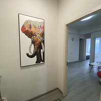 Ǯ���ֲ������2��1��1��1��1500/��