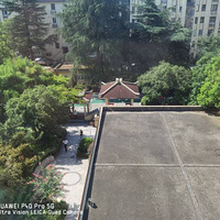 ����ֱ�����н��