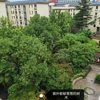 ��ԷС�����ӳ��⣨����ֱ�⣩