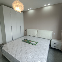 ����ֱ�⣬���н��