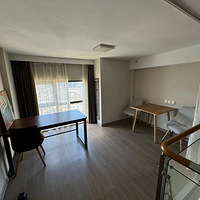 �Ƹ�����Loft��Ԣ1500/��