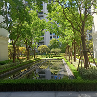 �����ž����ݳ���