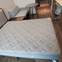 �ճ�����