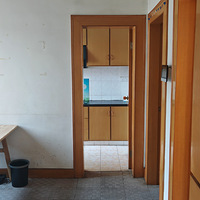 ��ԷС������һ�� ����ֱ��