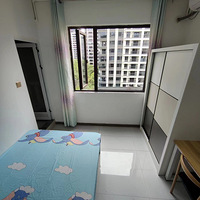 �̹�԰�糯��ͥ���ݳ���