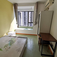 �ٰ�ũ�ִ�ѧ����У�����������Աߣ����߳�С������һ�Ҷ���