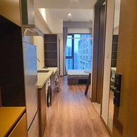 �꼾��ʼ��