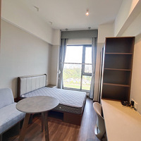 ������ɽ��